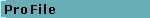 ProFile Digital Services GmbH